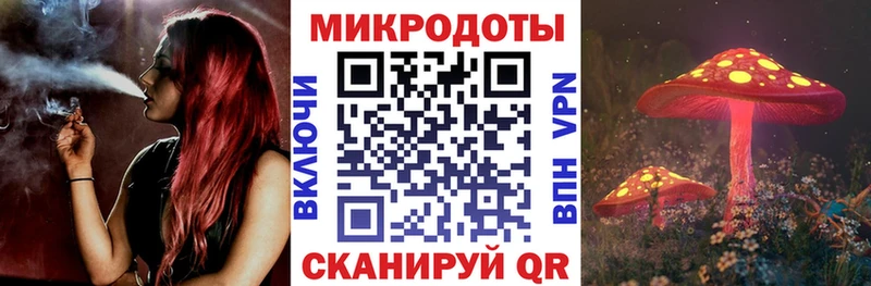 ссылка на мегу tor  что такое   Зуевка  Псилоцибиновые грибы Psilocybe 